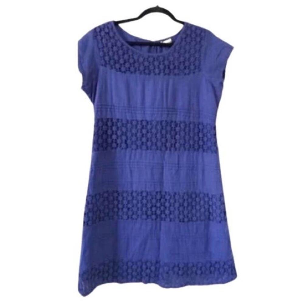 Kanishka mini embroided blue dress